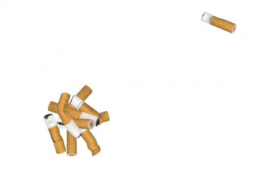 Heidi Popovic, Rauchen verboten