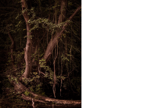 Peter Podpera, Sacred Places