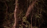 Peter Podpera - Sacred Places