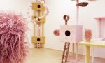 Bilder der Installation