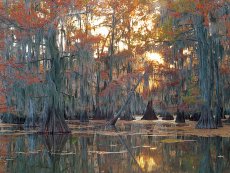 Deep Southern Sunset