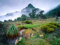 Hidden Mountain Gardens