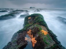 Wild West Coast New Zealand